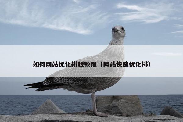如何网站优化排版教程（网站快速优化排）