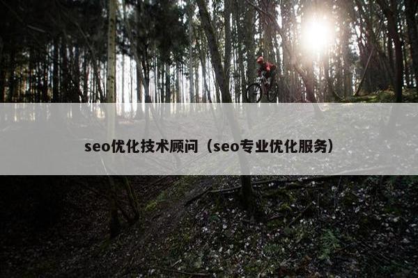 seo优化技术顾问（seo专业优化服务）