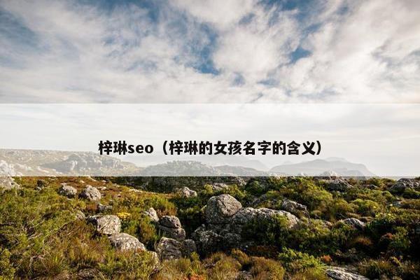 梓琳seo（梓琳的女孩名字的含义）
