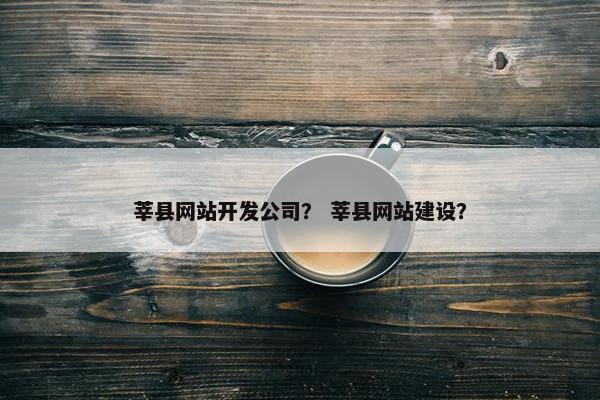 莘县网站开发公司？ 莘县网站建设？