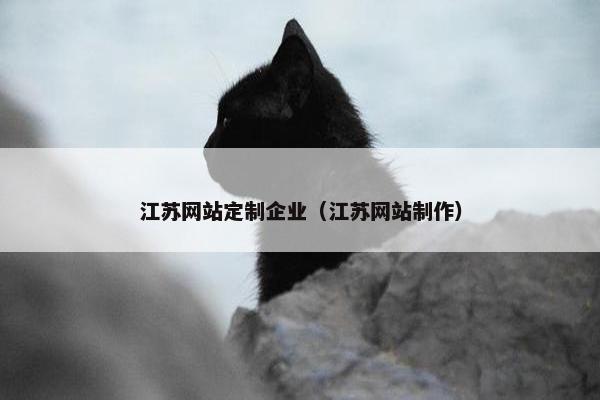 江苏网站定制企业（江苏网站制作）