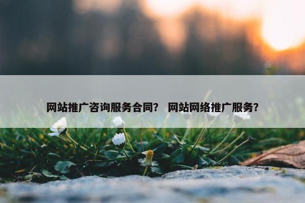 网站推广咨询服务合同？ 网站网络推广服务？