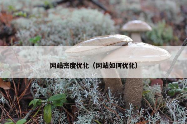 网站密度优化（网站如何优化）