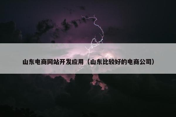 山东电商网站开发应用（山东比较好的电商公司）
