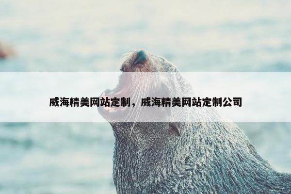 威海精美网站定制，威海精美网站定制公司