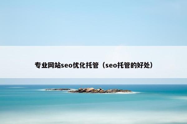 专业网站seo优化托管（seo托管的好处）