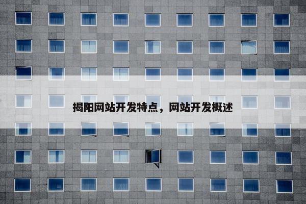 揭阳网站开发特点，网站开发概述