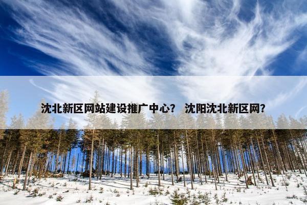 沈北新区网站建设推广中心？ 沈阳沈北新区网？