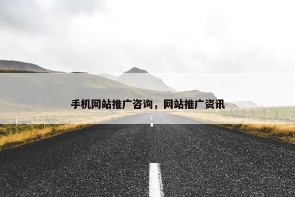 手机网站推广咨询，网站推广资讯