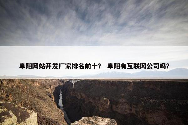阜阳网站开发厂家排名前十？ 阜阳有互联网公司吗？
