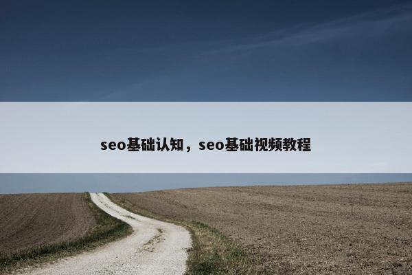 seo基础认知，seo基础视频教程