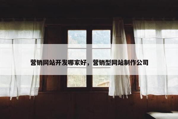 营销网站开发哪家好，营销型网站制作公司