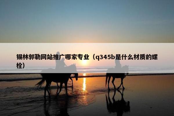锡林郭勒网站推广哪家专业（q345b是什么材质的螺栓）