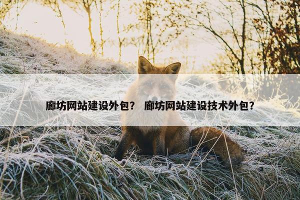 廊坊网站建设外包？ 廊坊网站建设技术外包？