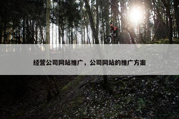 经营公司网站推广，公司网站的推广方案