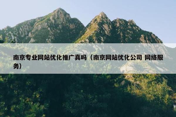 南京专业网站优化推广真吗（南京网站优化公司 网络服务）