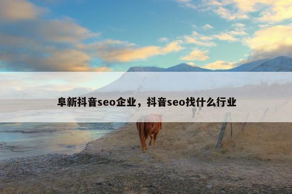 阜新抖音seo企业，抖音seo找什么行业