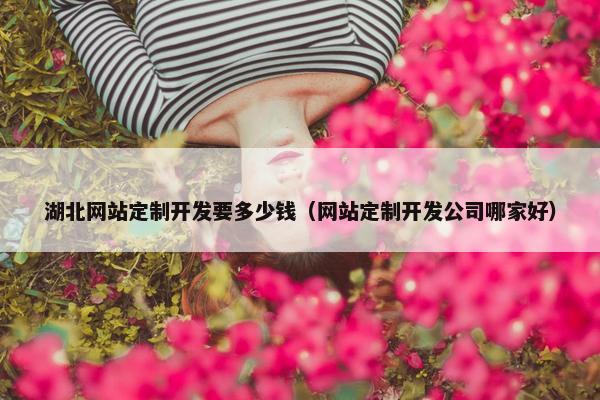 湖北网站定制开发要多少钱（网站定制开发公司哪家好）