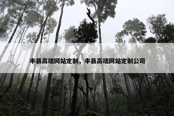 丰县高端网站定制，丰县高端网站定制公司