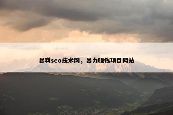 暴利seo技术网，暴力赚钱项目网站