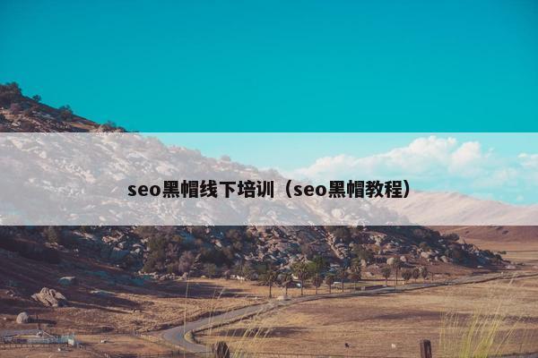 seo黑帽线下培训（seo黑帽教程）