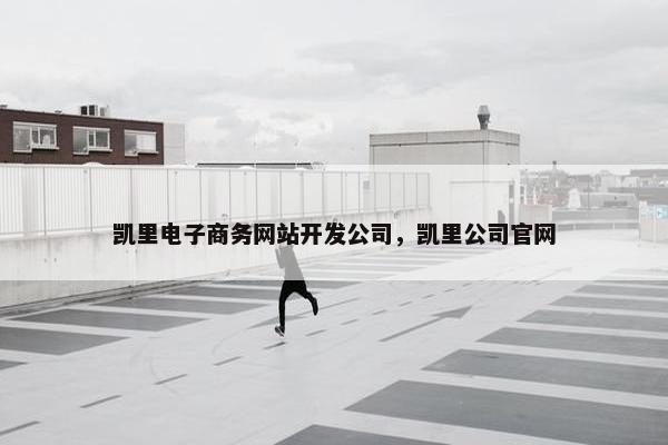 凯里电子商务网站开发公司，凯里公司官网