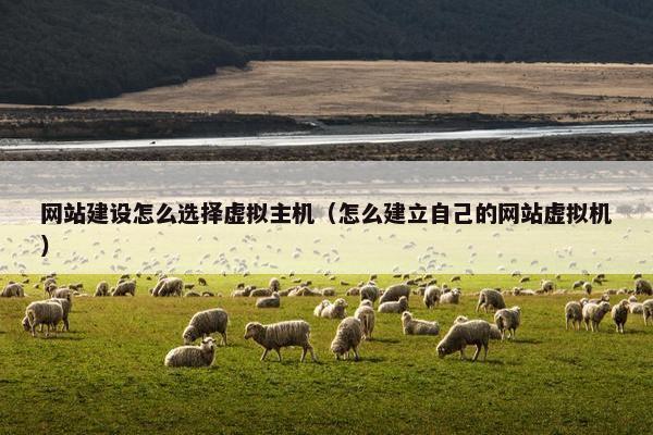 网站建设怎么选择虚拟主机（怎么建立自己的网站虚拟机）