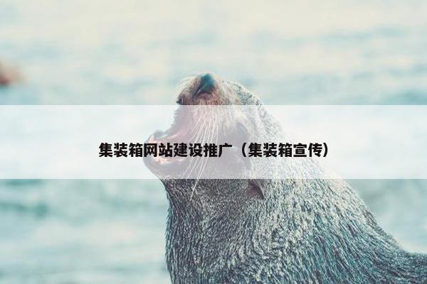 集装箱网站建设推广（集装箱宣传）