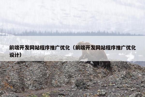前端开发网站程序推广优化（前端开发网站程序推广优化设计）