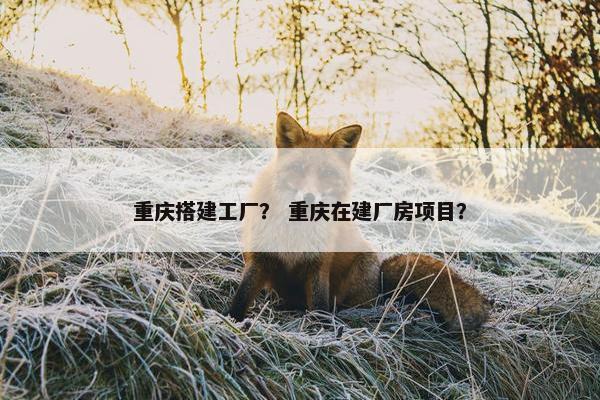 重庆搭建工厂？ 重庆在建厂房项目？