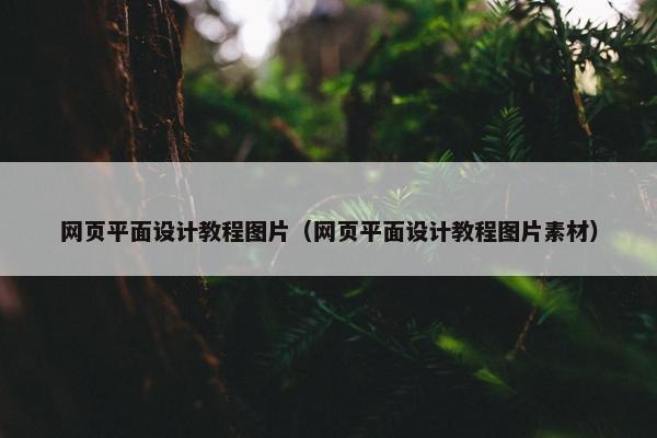 网页平面设计教程图片（网页平面设计教程图片素材）