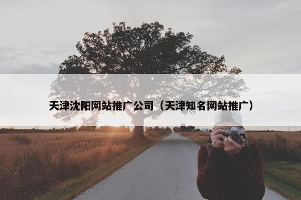 天津沈阳网站推广公司（天津知名网站推广）