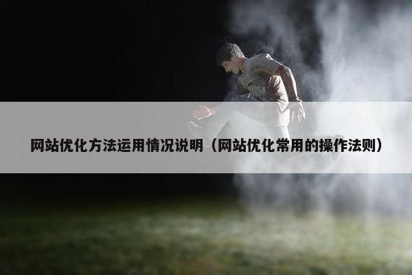 网站优化方法运用情况说明（网站优化常用的操作法则）