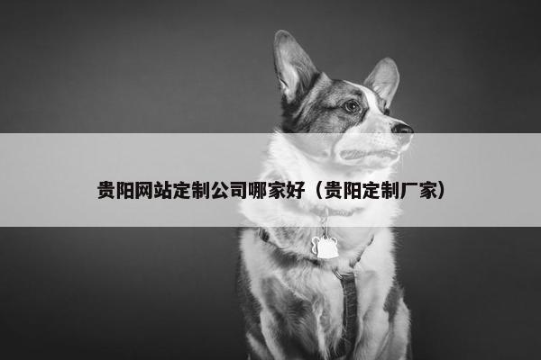 贵阳网站定制公司哪家好（贵阳定制厂家）