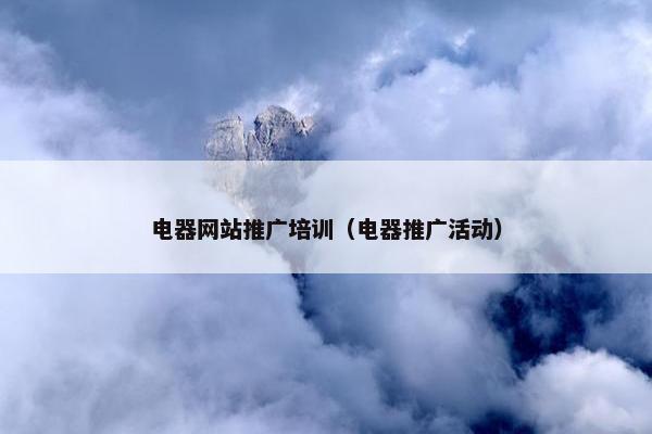电器网站推广培训（电器推广活动）
