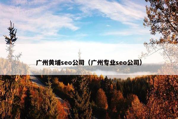 广州黄埔seo公司（广州专业seo公司）