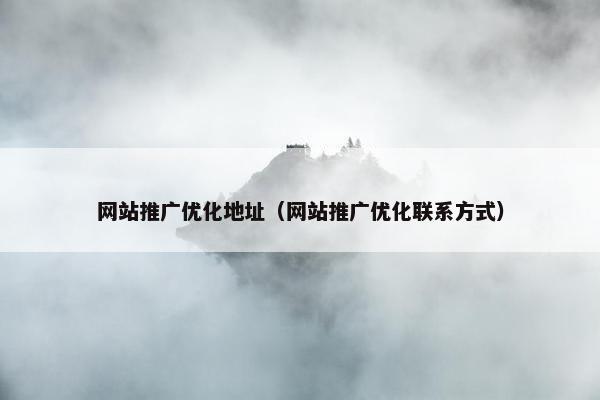 网站推广优化地址（网站推广优化联系方式）