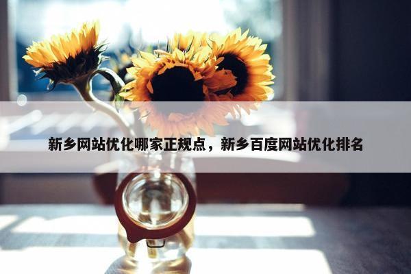 新乡网站优化哪家正规点，新乡百度网站优化排名