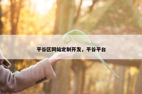 平谷区网站定制开发，平谷平台