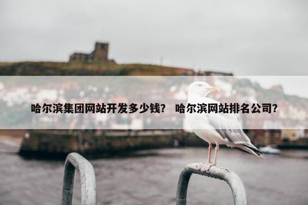 哈尔滨集团网站开发多少钱？ 哈尔滨网站排名公司？