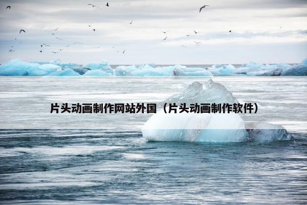 片头动画制作网站外国（片头动画制作软件）