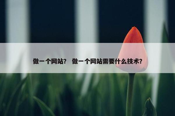 做一个网站？ 做一个网站需要什么技术？