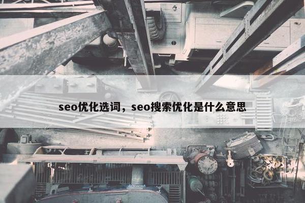 seo优化选词，seo搜索优化是什么意思