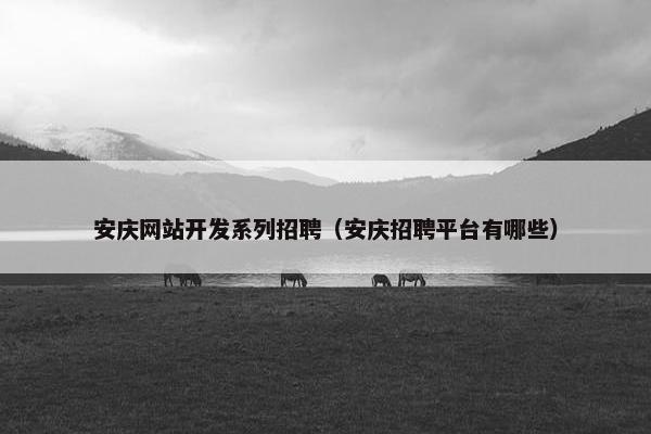 安庆网站开发系列招聘（安庆招聘平台有哪些）