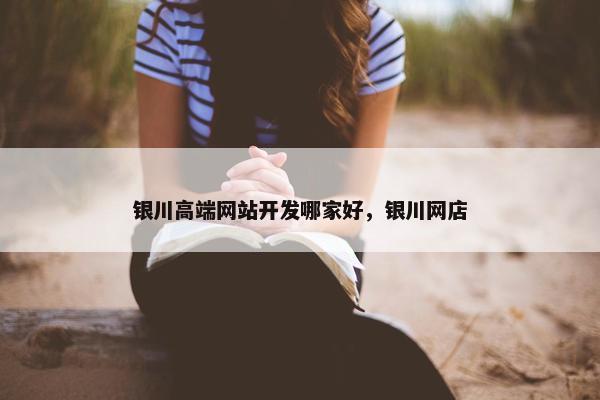 银川高端网站开发哪家好，银川网店