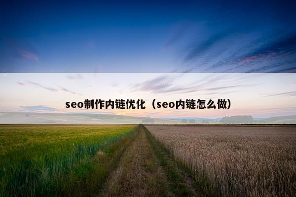 seo制作内链优化（seo内链怎么做）