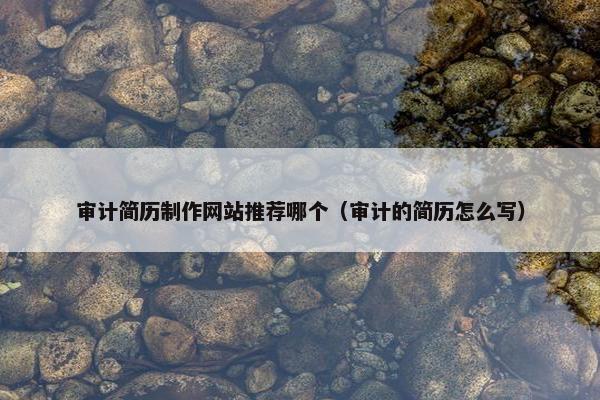 审计简历制作网站推荐哪个（审计的简历怎么写）