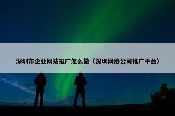 深圳市企业网站推广怎么做（深圳网络公司推广平台）