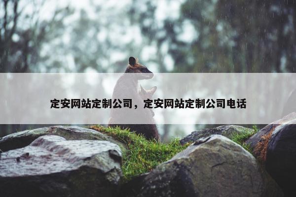 定安网站定制公司，定安网站定制公司电话