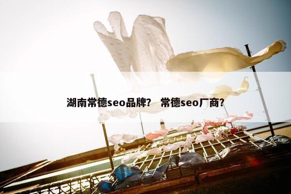 湖南常德seo品牌？ 常德seo厂商？